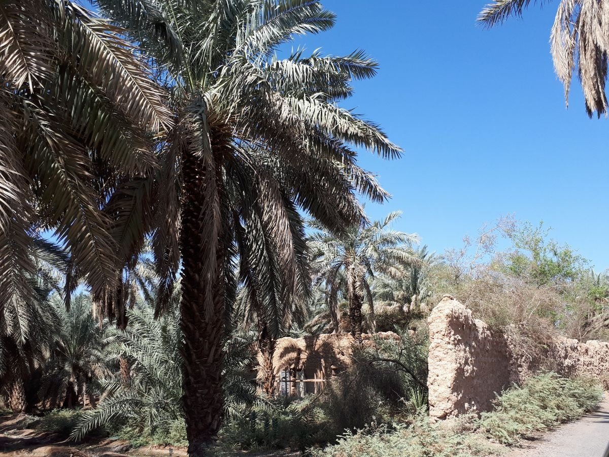 Mesarat Al Makhtalafa Co | Booking Hotels, Flights, Cars for Umrah & Hajj in Saudi Arabia.