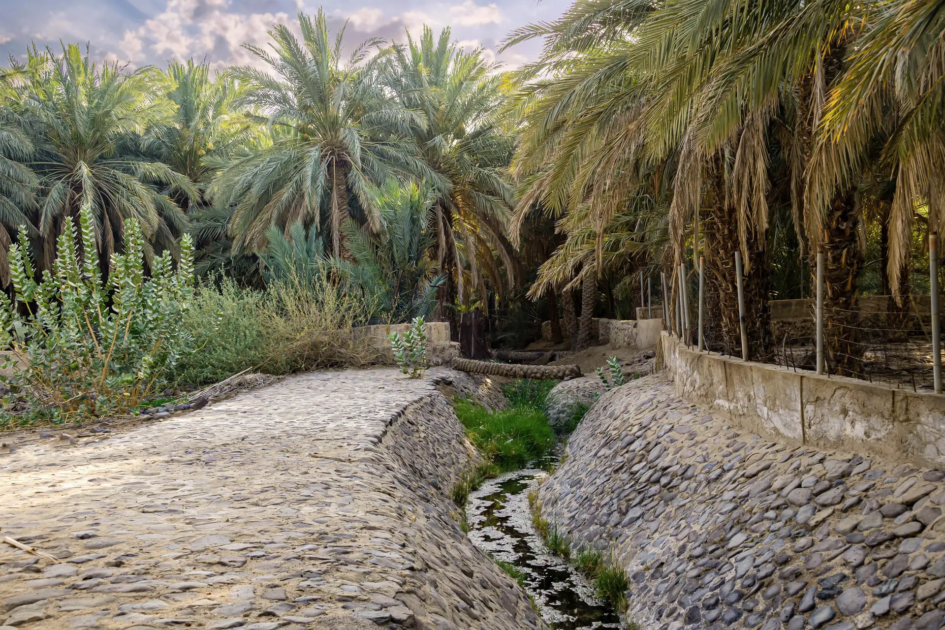 Explore the Ain al-Nabi in Wadi Raha