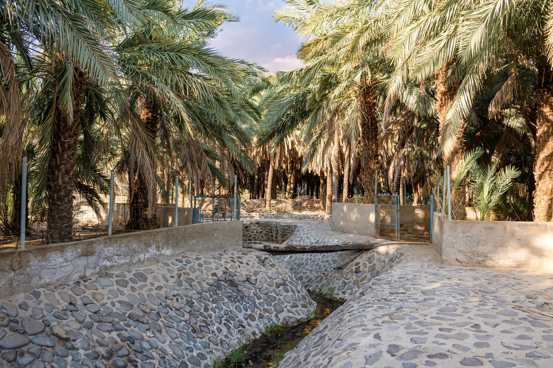Explore the Ain al-Nabi in Wadi Raha