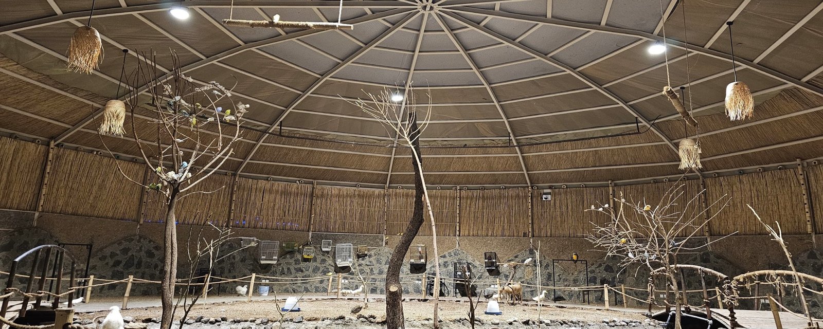 3-Day Tour in Al-Madinah and Yanbu