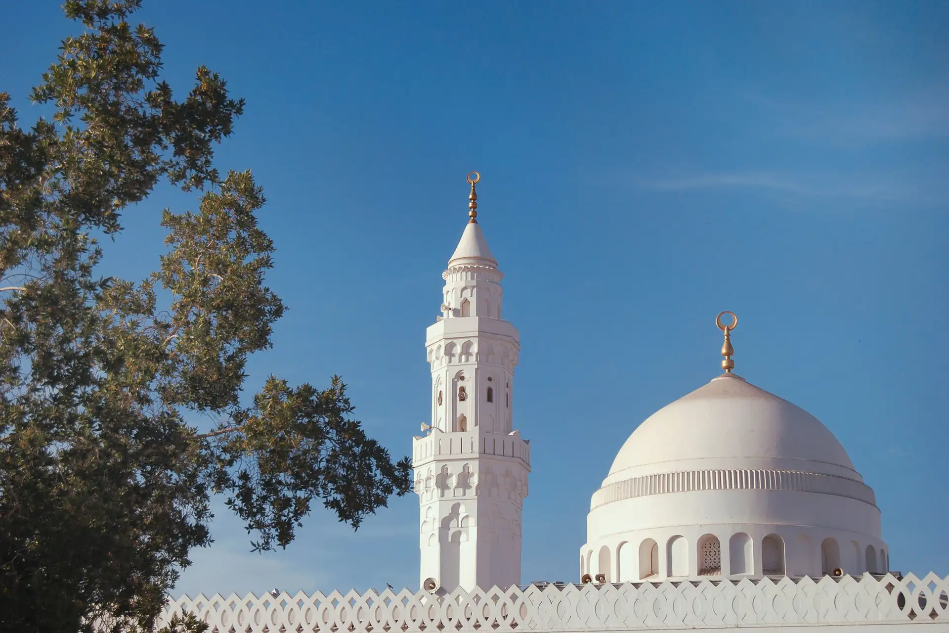 The Prophet’s Biography Tour